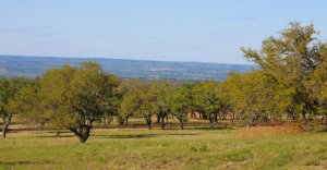 Texas Hill Country Land For Sale at Summit Springs